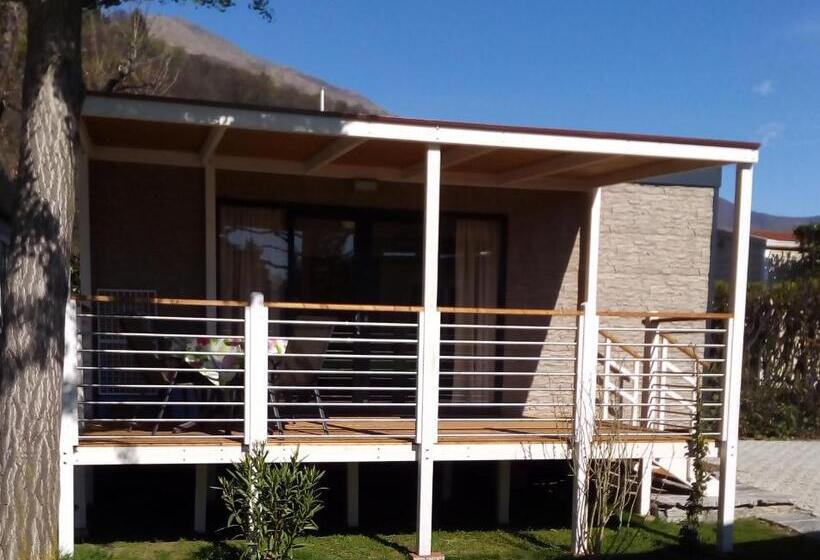 خانه 1 خوابه, Villa Delle Palme