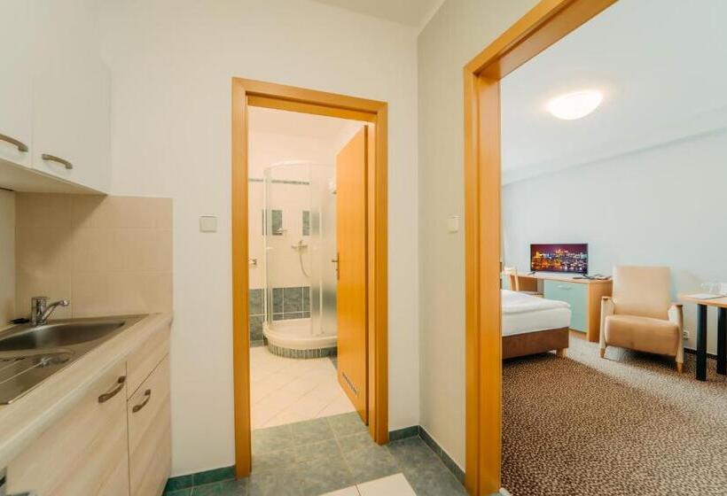 استودیوی استاندارد, Colorfactory Spa Hotel   Czech Leading Hotels