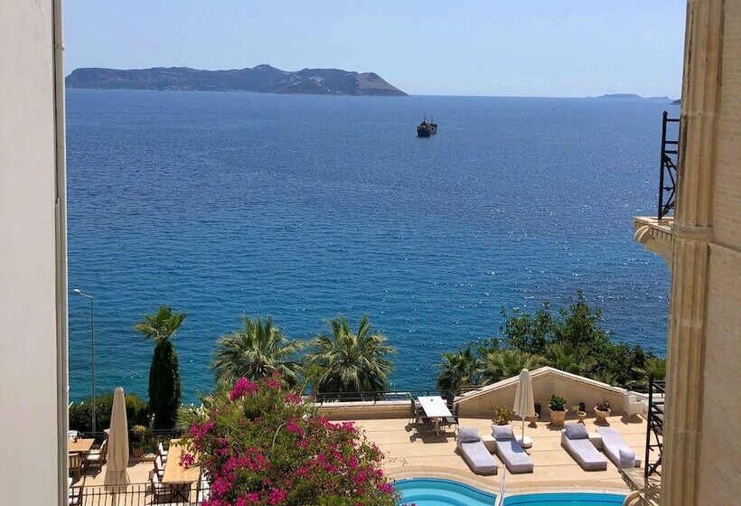 חדר סטנדרט צדדי נוף לים, Aqua Princess