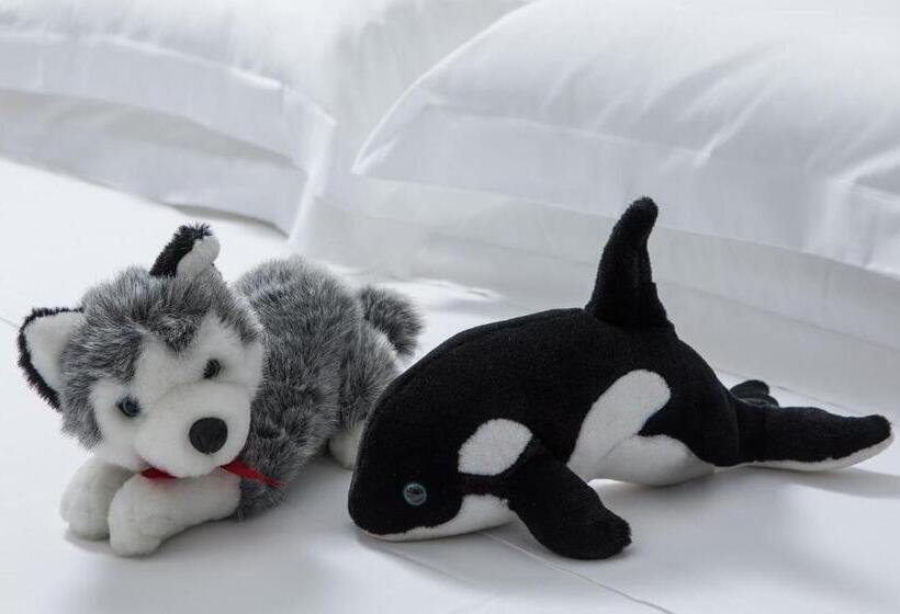 ファミリールーム, San Giusto