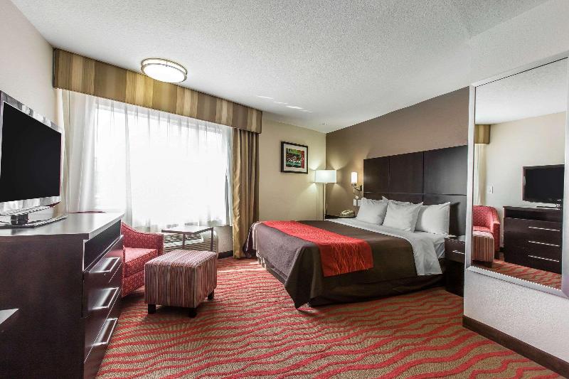 غرفة قياسية سرير كينج, Comfort Inn Los Angeles Near Hollywood