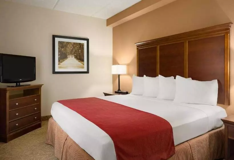 キングサイズベッドのスタンダードルーム, Country Inn & Suites By Radisson, Anderson, Sc