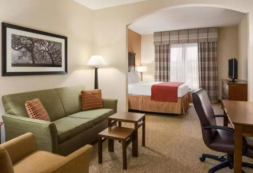 キングサイズベッドのスイートルーム, Country Inn & Suites By Radisson, Anderson, Sc