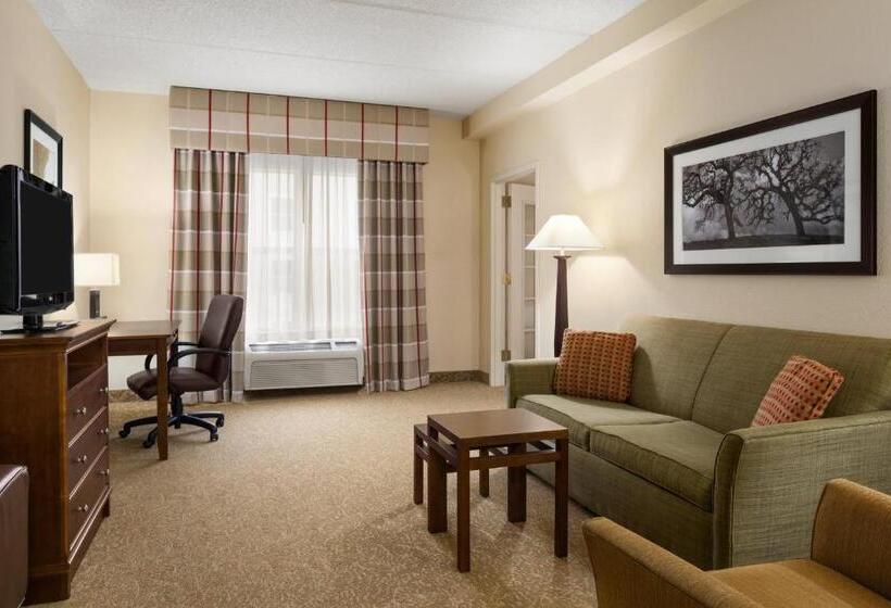 带大床的套房, Country Inn & Suites By Radisson, Anderson, Sc