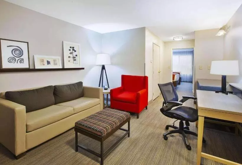 キングサイズベッドのスイートルーム, Country Inn & Suites By Radisson, Big Rapids, Mi