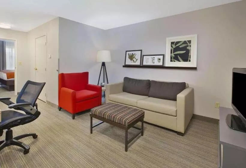 キングサイズベッドのスイートルーム, Country Inn & Suites By Radisson, Big Rapids, Mi