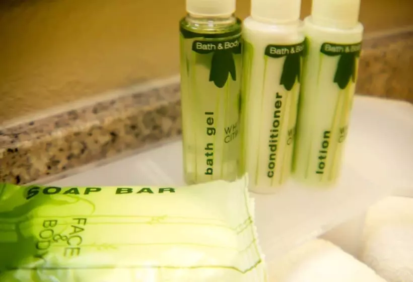 اتاق استاندارد, Holiday Inn Express & Suites Indianapolis North   Carmel, An Ihg