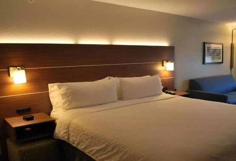 اتاق استاندارد با تخت بزرگ, Holiday Inn Express & Suites Indianapolis North   Carmel, An Ihg