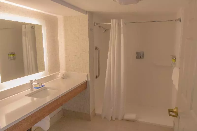 Standard-invahuone King-vuode, Holiday Inn Express & Suites Manassas, An Ihg
