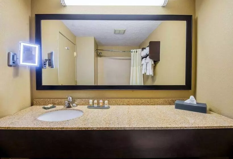 キングサイズベッドのスイートルーム, La Quinta Inn & Suites By Wyndham Elkview  Charleston Ne