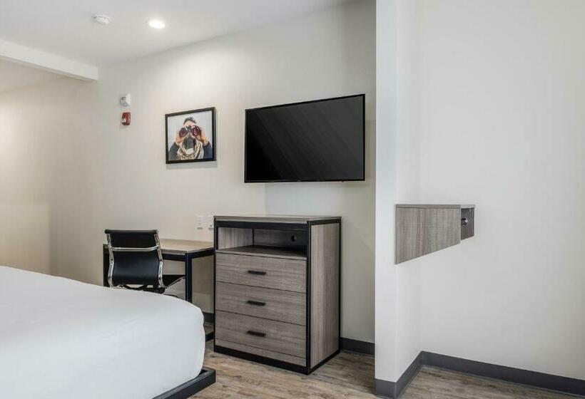 キングサイズベッドのスタンダードルーム, Red Lion Inn & Suites Katy