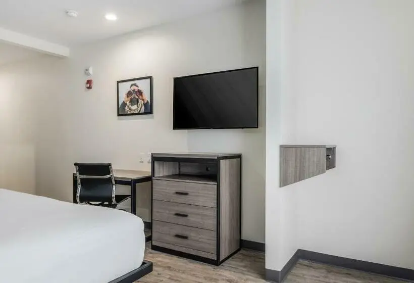 キングサイズベッドのスタンダードルーム, Red Lion Inn & Suites Katy