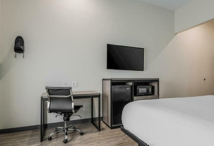 キングサイズベッドのスタンダードルーム, Red Lion Inn & Suites Katy