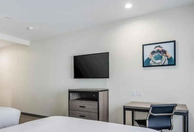 身障者適用スタンダードルーム, Red Lion Inn & Suites Katy