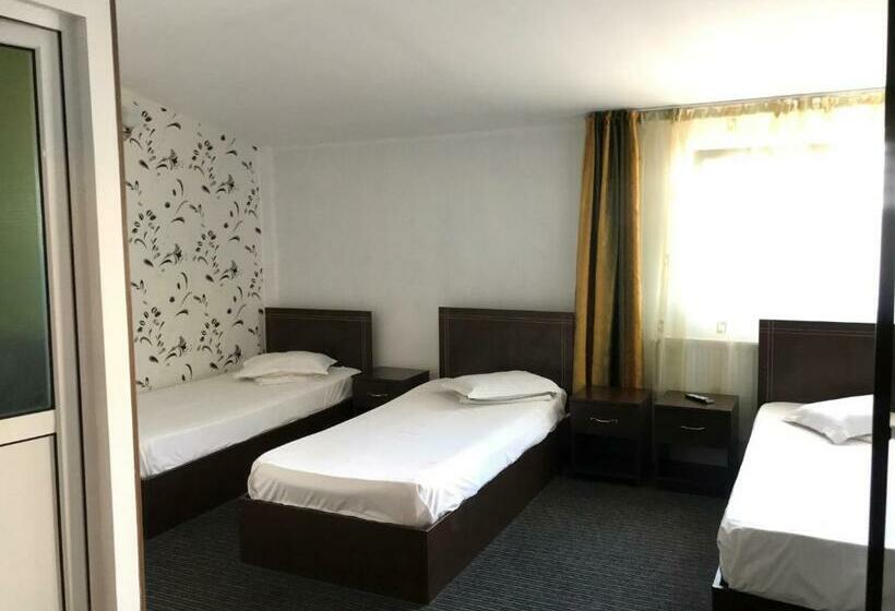 标准三人间, Casa Ardeleană