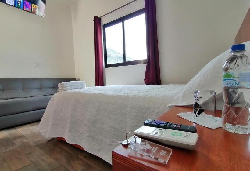 Трехместный Номер Базовый, Anthurium