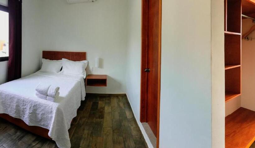 Трехместный Номер Базовый, Anthurium