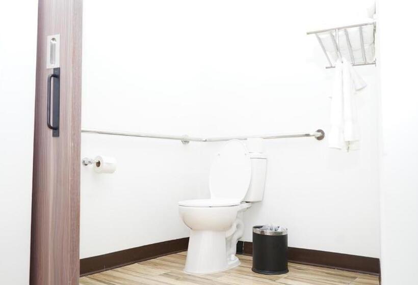 اتاق استاندارد با تخت بزرگ برای معلولان, Aloft Ponce Hotel & Casino