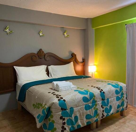 带大床的标准间, Cabo Tortuga Hotel Boutique