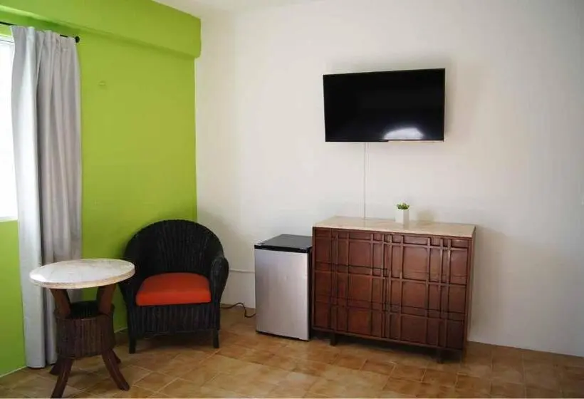 اتاق استاندارد با تخت بزرگ, Cabo Tortuga Hotel Boutique