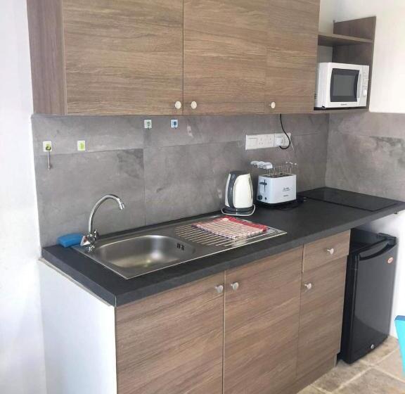 Апартаменты 1 Спальня Вид на Бассейн, Antonia Studios