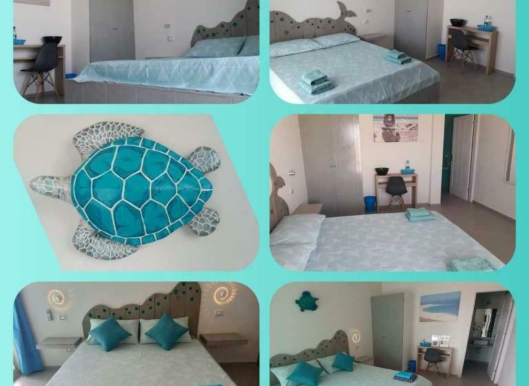 اتاق استاندارد, B&b Sereia Azul Boa Vista