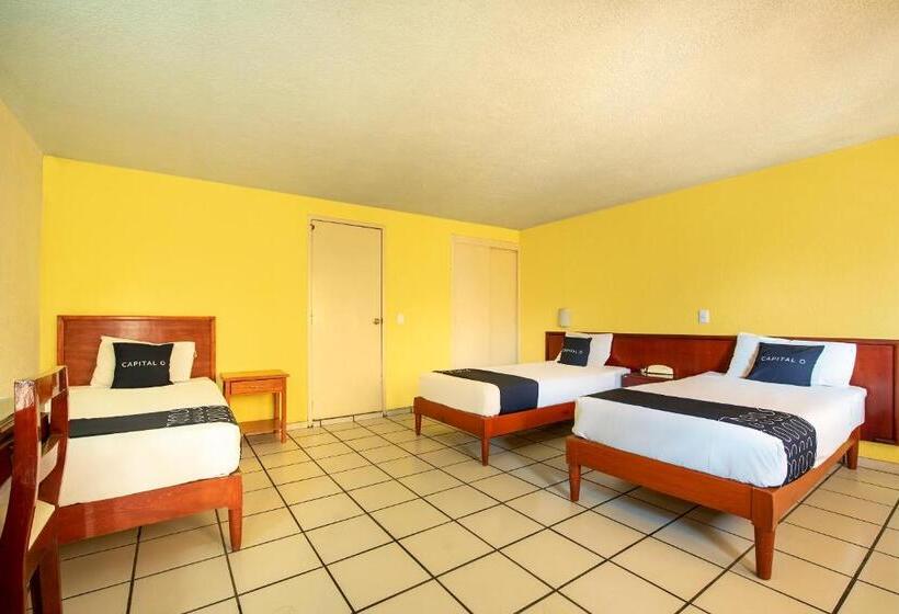 标准三人间, Capital O Colón, Ciudad Guzmán Jalisco