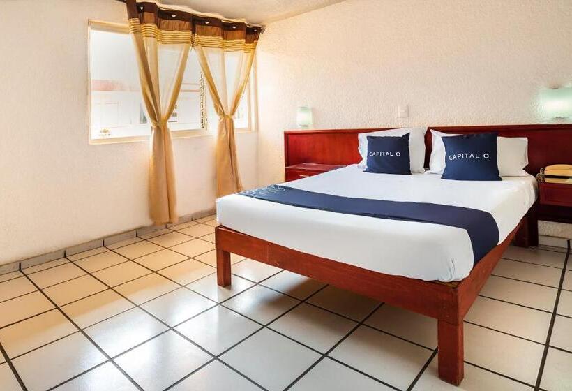 高级大房间, Capital O Colón, Ciudad Guzmán Jalisco