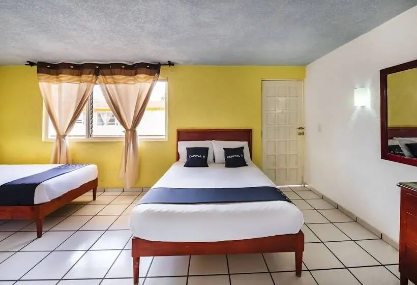 スタンダード4人部屋, Capital O Colón, Ciudad Guzmán Jalisco