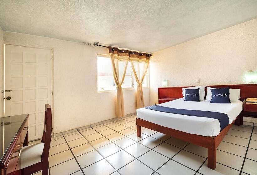 高级大房间, Capital O Colón, Ciudad Guzmán Jalisco