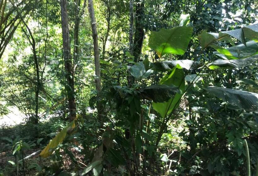 חדר דלוקס, Cabinas Cafe Del Mar