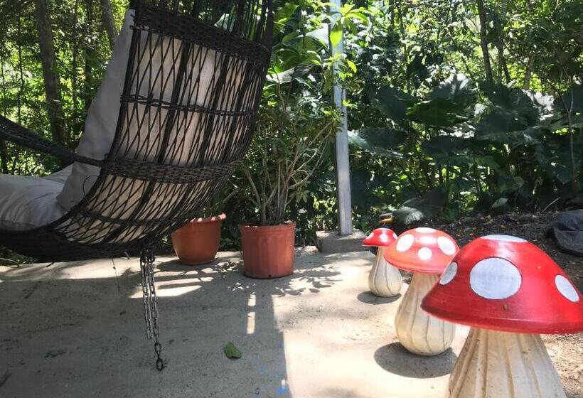 חדר דלוקס, Cabinas Cafe Del Mar