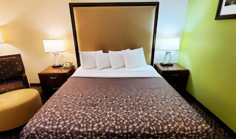 身障者適用キングサイズベッドルーム, Travel Inn And Suites  Sikeston Miner I 55 Exit 67