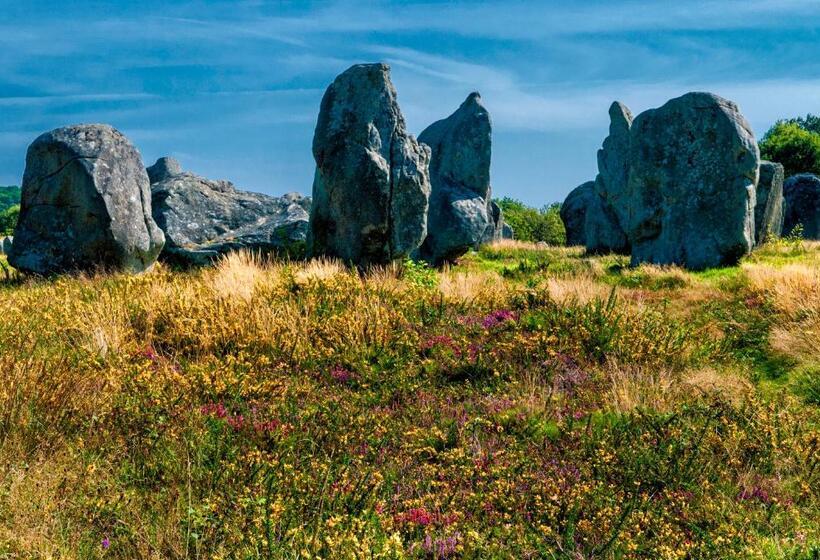 スタンダードスタジオ, Résidence Goélia Bleue Océane