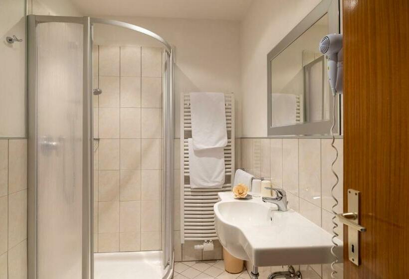 חדר סטנדרט יחיד, Sporthotel Spoegler