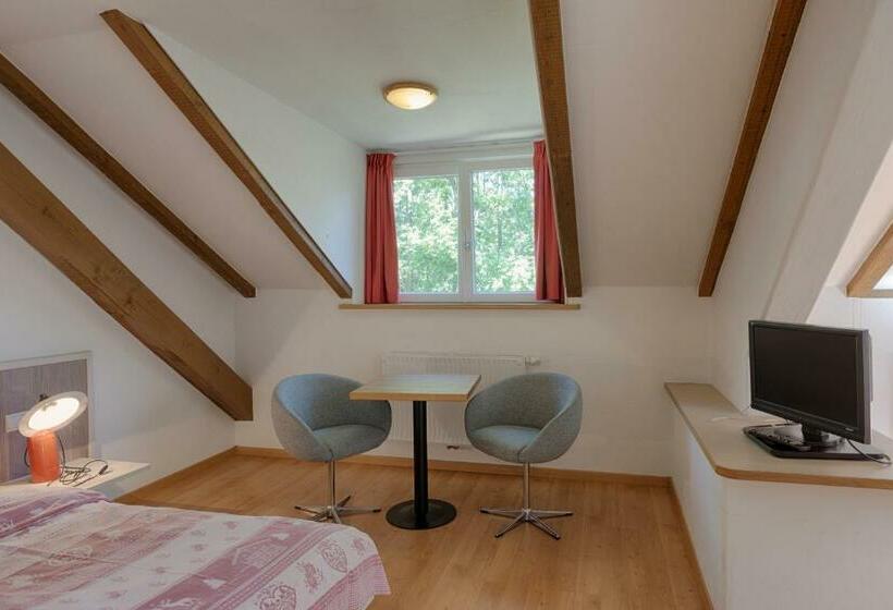 חדר סטנדרט, Sporthotel Spoegler