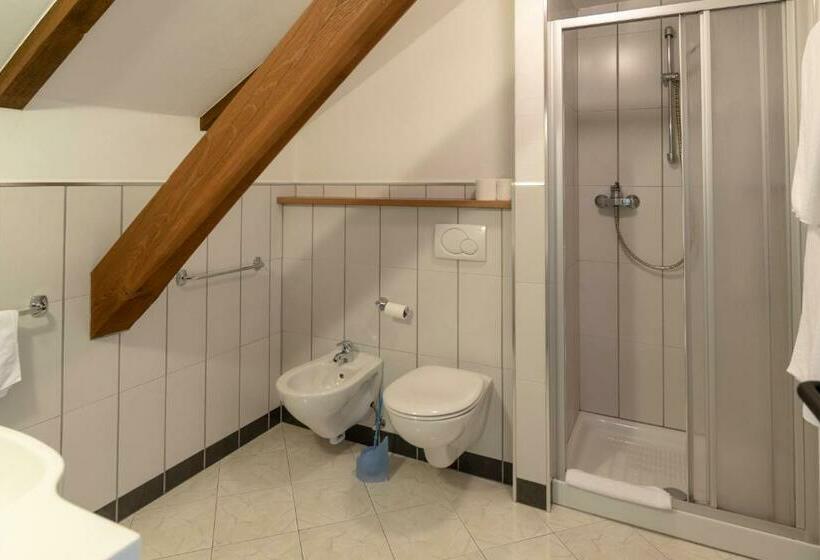 חדר סטנדרט, Sporthotel Spoegler