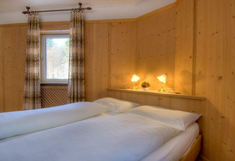 Номер Стандарт, Sporthotel Spoegler
