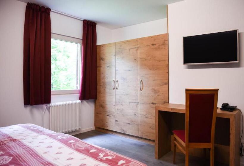 חדר סטנדרט, Sporthotel Spoegler