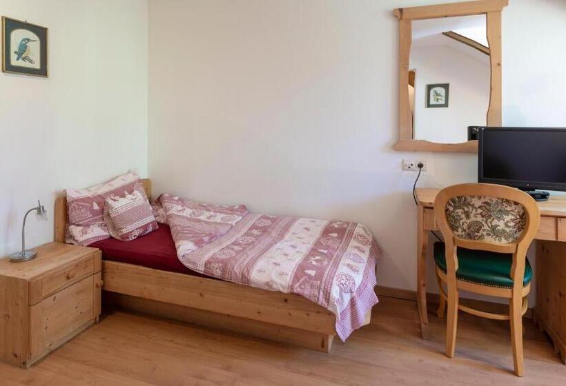 חדר סטנדרט יחיד, Sporthotel Spoegler