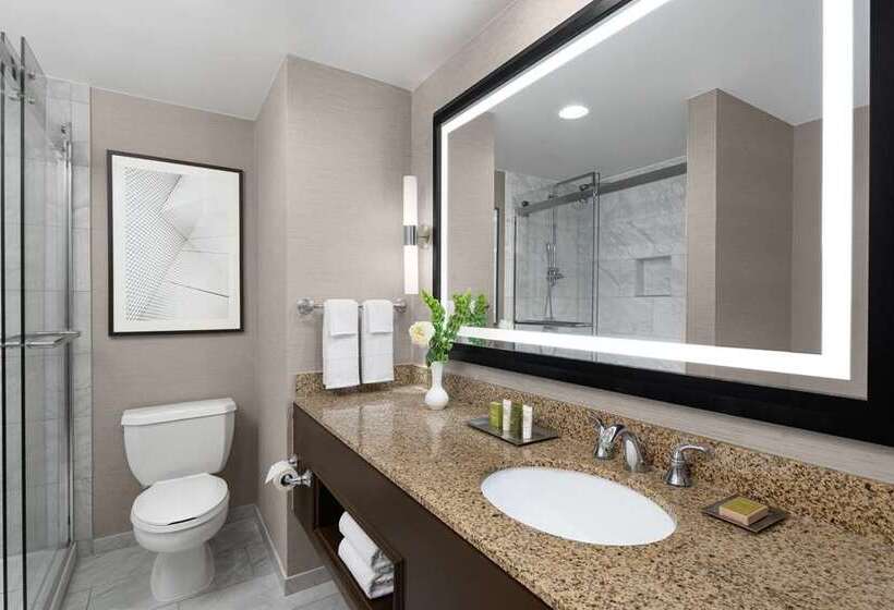 חדר דלוקס, Hilton Indianapolis Hotel & Suites