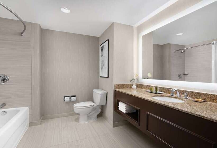 Pokój Deluxe, Hilton Indianapolis Hotel & Suites