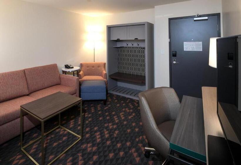 جناح سرير كينج, Holiday Inn Hotel & Suites   Mount Pleasant, An Ihg