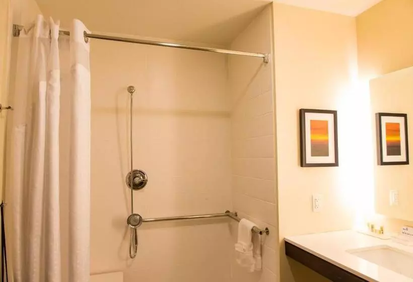 身障者適用スイートルーム, Holiday Inn Hotel & Suites   Mount Pleasant, An Ihg