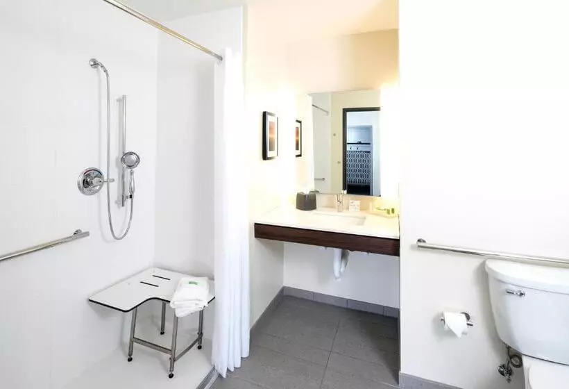 身障者適用スイートルーム, Holiday Inn Hotel & Suites   Mount Pleasant, An Ihg