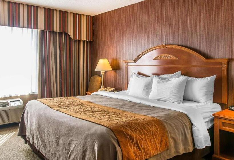 Стандартный Номер Кровать Кинг, Comfort Inn