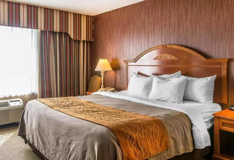 キングサイズベッドのスタンダードルーム, Comfort Inn