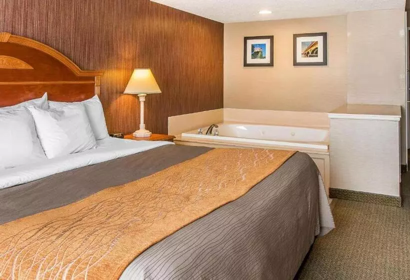 キングサイズベッドのスタンダードルーム, Comfort Inn