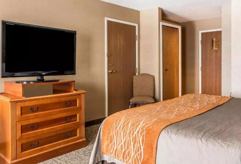 キングサイズベッドのスタンダードルーム, Comfort Inn