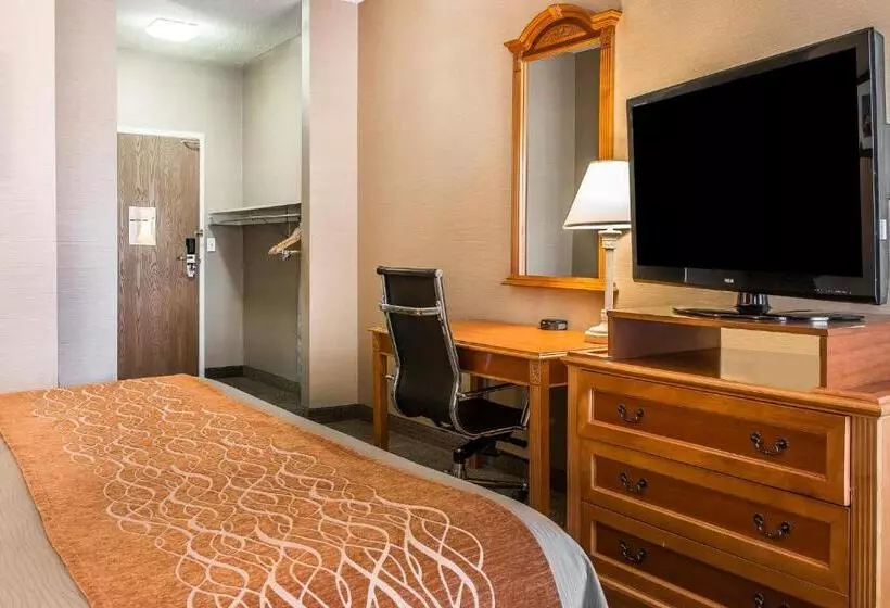 身障者適用キングサイズベッドルーム, Comfort Inn